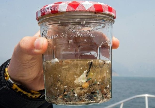 如果知道海洋中的塑料垃圾會進入人類肚子，你還會丟嗎？